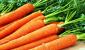 Морковь при похудении — легкие салаты, эффективная диета
