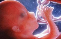 Четвертый месяц беременности: изменения в организме матери и плода Беременный живот 4 месяца