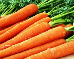 Морковь при похудении — легкие салаты, эффективная диета